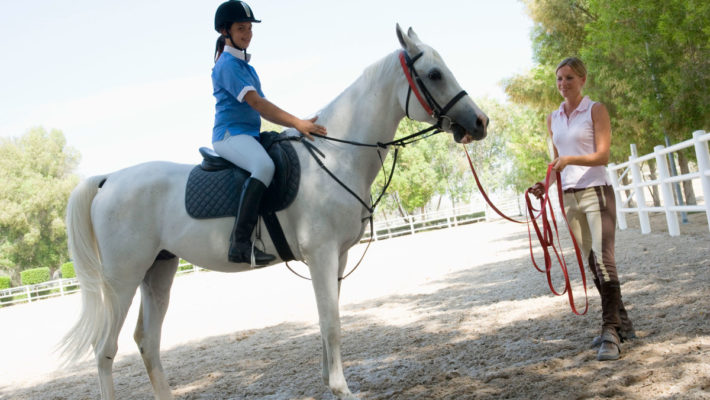 High Beech Riding School – Flat Horse Riding Lessons