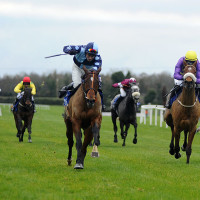 Get Flawless Horse Racing Tips From Varied Resources